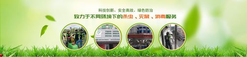 衡陽病媒生物防治消殺服務衡陽專業除蟲滅鼠公司