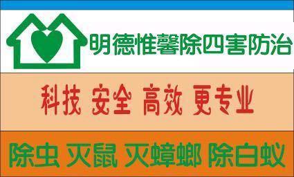 專業滅鼠,滅蟑螂,滅白蟻,滅蚊蠅,滅跳蚤等害蟲
