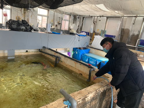 扎根水產,不負韶華 水產與生命學院開展研究生 抗疫志愿服務工作