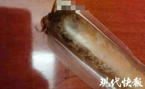 有圖慎點 良品鋪子雞肉腸生蛆,回應來了