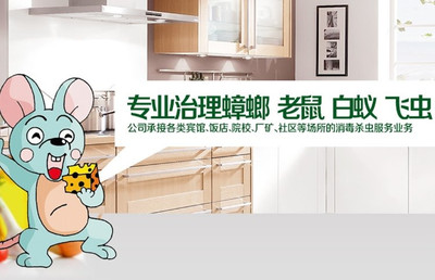 上海快速滅鼠公司怎么收費,上海滅鼠防蟲服務 家庭滅鼠