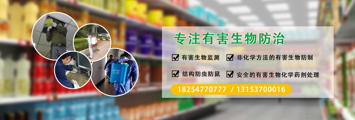 濟寧滅鼠除蟲服務