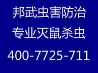 上海專業滅鼠滅蟑螂滅白蟻滅除跳蚤等害蟲-上海徐匯區防蟲服務