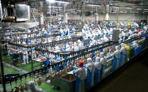 工行速度 工行溫度 青島工行金融馳援萊西企業 工 同抗疫鳳凰網青島