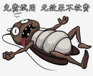 鼎弦滅蟑滅鼠廣州防蟲服務