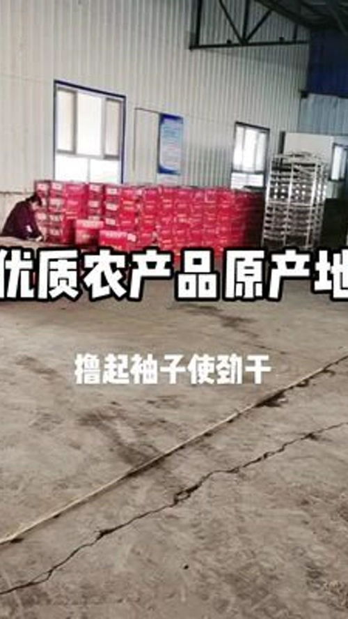 努力做好一個努力的人 優(yōu)質農產(chǎn)品 三農服務 熬最深的夜