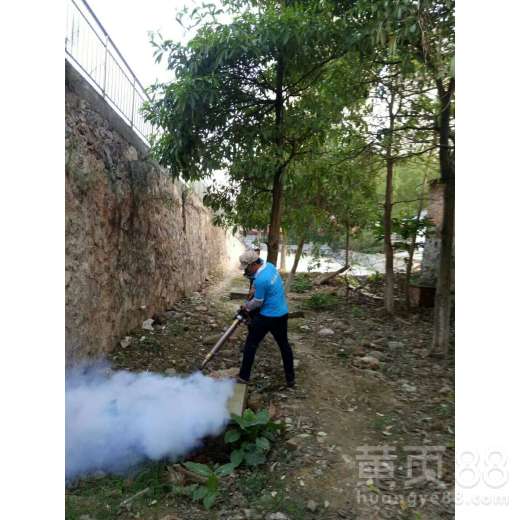 【江南從事除四害殺蟲滅鼠上門服務】- 