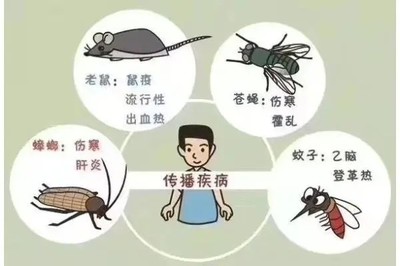 漢中滅老鼠滅蟑螂靠譜誠信質量有保證