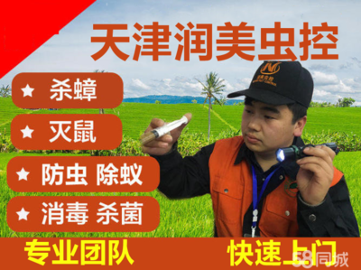 13年消殺經驗滅蟑螂滅老鼠蚊蠅消殺滅跳蚤除螞蟻滅臭蟲除螨蟲滅白蟻消毒殺菌