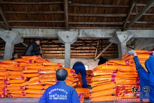 通道 備農資 促春耕 全力做好農資儲備工作