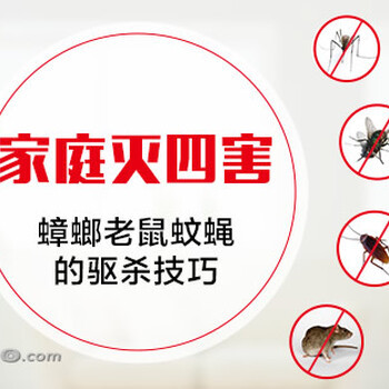 滅老鼠蟑螂殺老鼠殺跳蚤殺螞蟻除蟲除蟻各類蟲濟(jì)寧