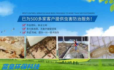 上海快速滅鼠公司怎么收費,上海滅鼠防蟲服務 家庭滅鼠