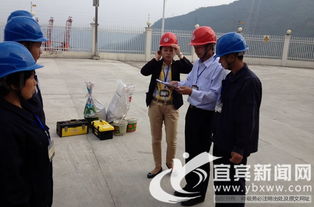 就業季 揭秘滅鼠除蟲新藍領群體