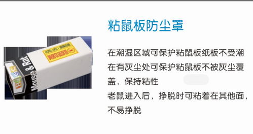 煙臺澳潔蟲控服務好 滅鼠公司收費 滅鼠公司