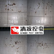 【如何消除工廠老鼠和蟲害、看看清波控蟲是怎樣對工廠滅鼠滅蟑防蟲的圖片】如何消除工廠老鼠和蟲害、看看清波控蟲是怎樣對工廠滅鼠滅蟑防蟲的