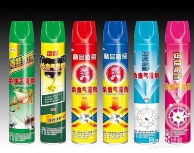 怎樣驅趕消滅墻洞里的老鼠