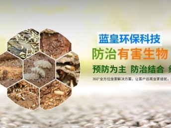 上海上門抓老鼠除四害消殺專業除蟲防蟲滅鼠滅蟑螂