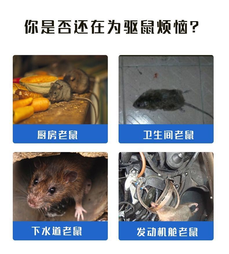 驅鼠老鼠貼強力滅鼠家用樟腦丸驅蟲防蟲香味一鍋端貓