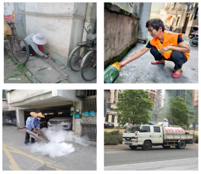 創(chuàng)衛(wèi)進(jìn)行時 | 徐碧街道凝心聚力扎實推進(jìn)創(chuàng)衛(wèi)工作