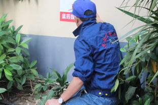 北海代哥蟲鼠防治服務(wù),專業(yè)除蟲滅鼠