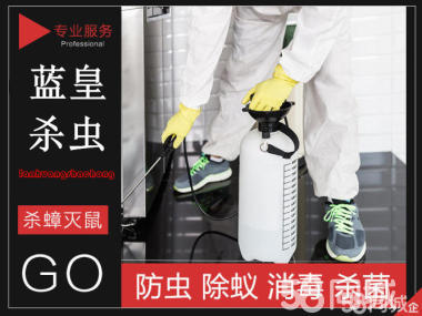 殺蟲、老鼠消殺、滅白蟻、滅蒼蠅、除蟲除蟻、白蟻防治、優(yōu)質(zhì)服務(wù)