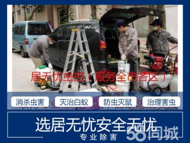 專業(yè)滅臭蟲、家庭滅臭蟲、宿舍滅臭蟲、倉庫滅臭蟲