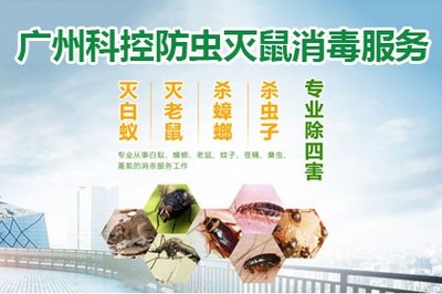 誠信經營的原則,廣州白蟻防治中心