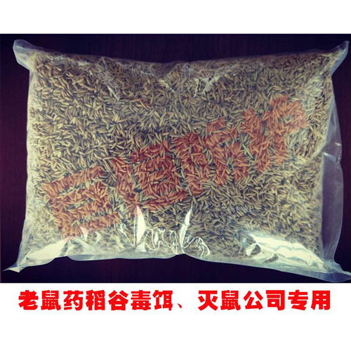 【巨恒滅老鼠效果好的稻谷藥滅鼠公司滅鼠專用藥老鼠誘殺老鼠防治】- 
