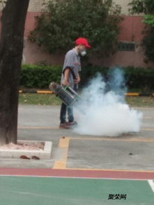 東莞防治白蟻 殺蟲滅鼠找龍科白蟻蟲控 精湛技術豐厚經驗