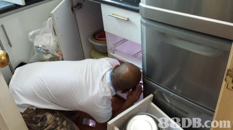 體重控制療程的搜尋結果 清潔服務 滅鼠 地氈清洗 家居清潔 殺蟲 滅蚤 滅白蟻 滅蟻 裝修清潔 滅蟲服務 清潔服務 滅鼠 地氈清洗 家居清潔 殺蟲 滅蚤 滅白蟻