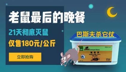 豬場滅鼠屢次失敗,但黃油你用過嗎?這個小技巧或許能幫你大忙!_科技_網