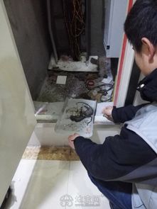 南昌滅鼠滅蟑螂滅白蟻跳蚤殺蟲公司專業(yè)四害消殺 南昌其它服務(wù)