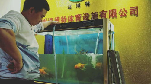 圖 全廣州上門魚缸清洗魚池清洗 魚缸維修補(bǔ)漏 魚缸訂做 廣州寵物服務(wù)