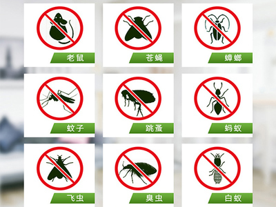 西安正規(guī)滅蟑螂公司誠信高,技術(shù)人員服務(wù)周到